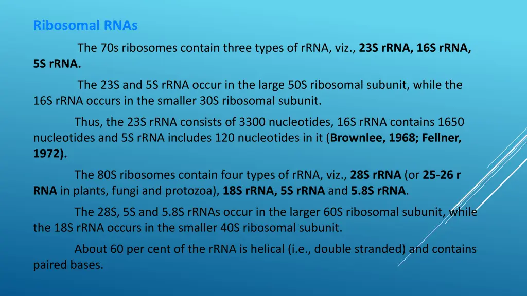 ribosomal rnas