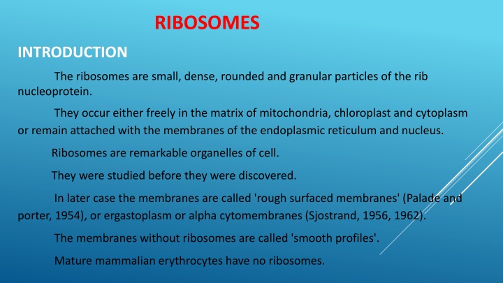 ribosomes