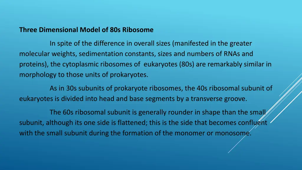 three dimensional model of 80s ribosome