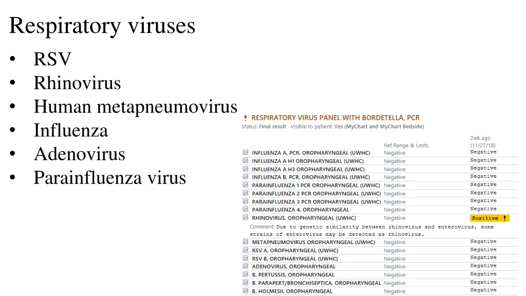 respiratory viruses rsv rhinovirus human