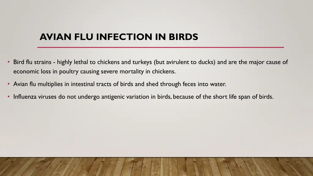 avian flu infection in birds