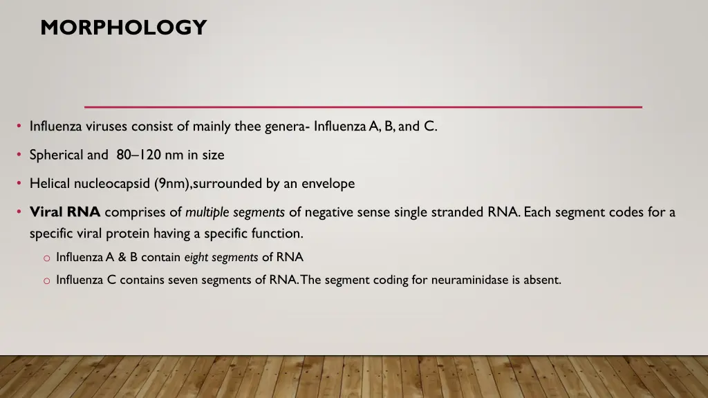 morphology