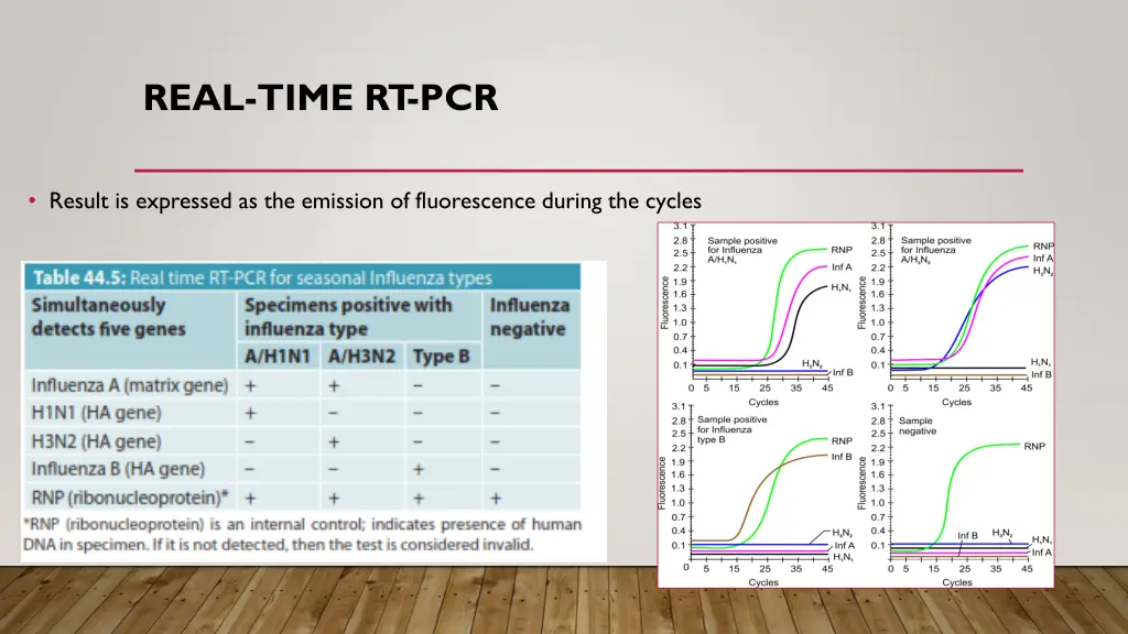 real time rt pcr 1