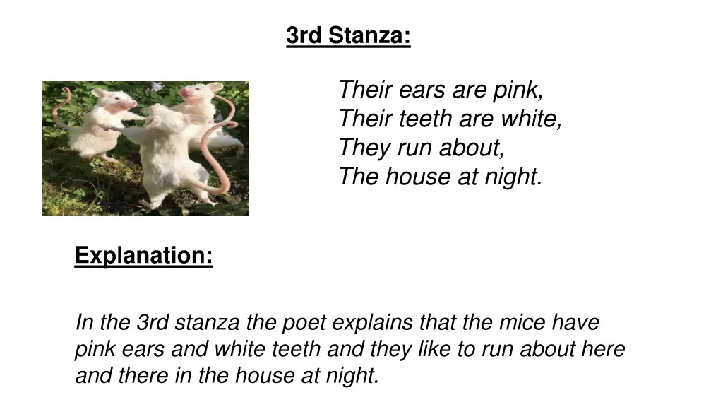 3rd stanza