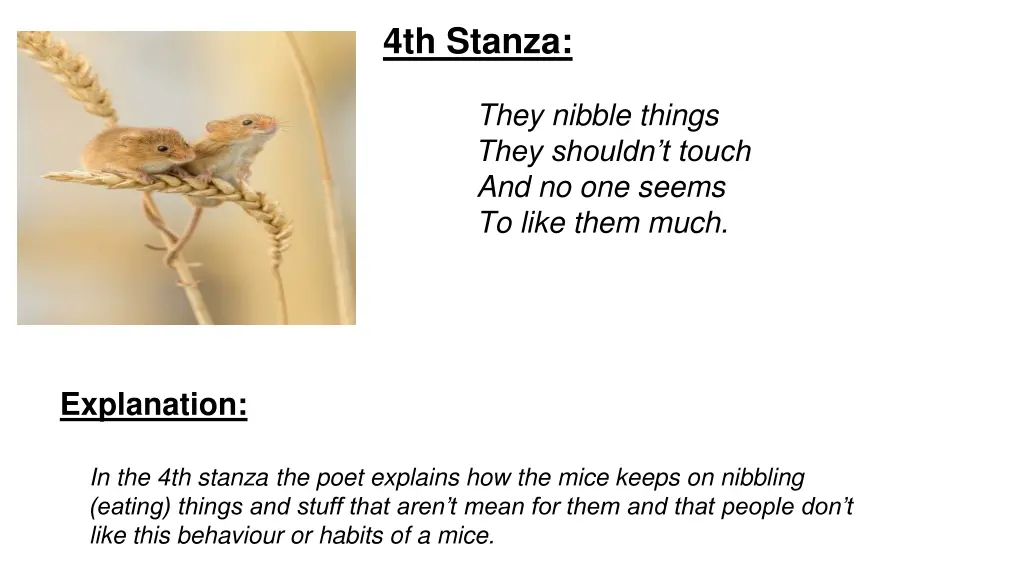 4th stanza