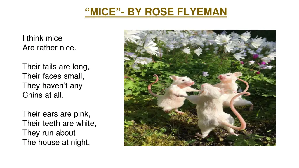 mice by rose flyeman