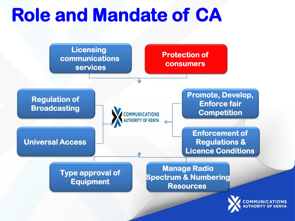 role and mandate of ca role and mandate of ca