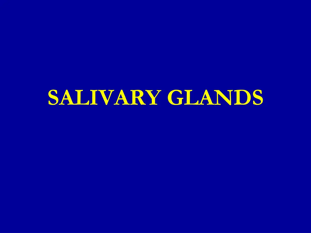 salivary glands