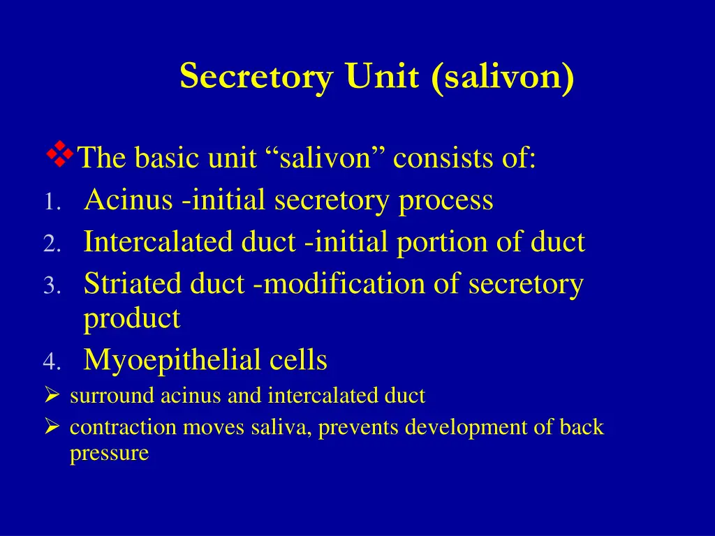 secretory unit salivon