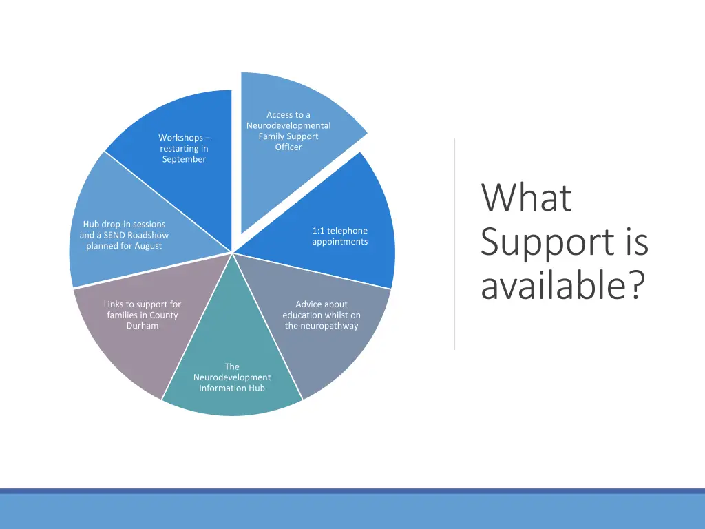 access to a neurodevelopmental family support