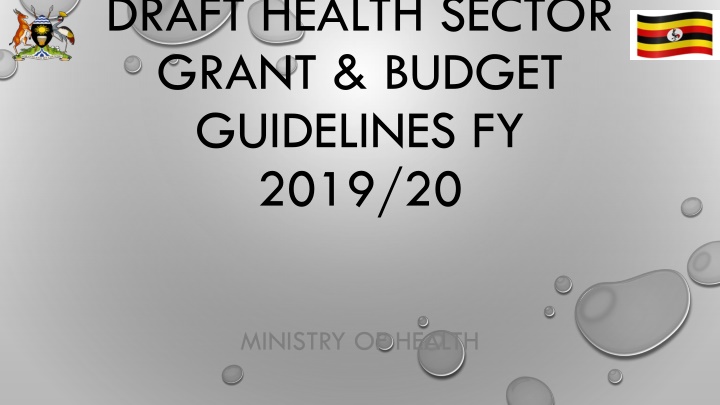 draft health sector grant budget guidelines