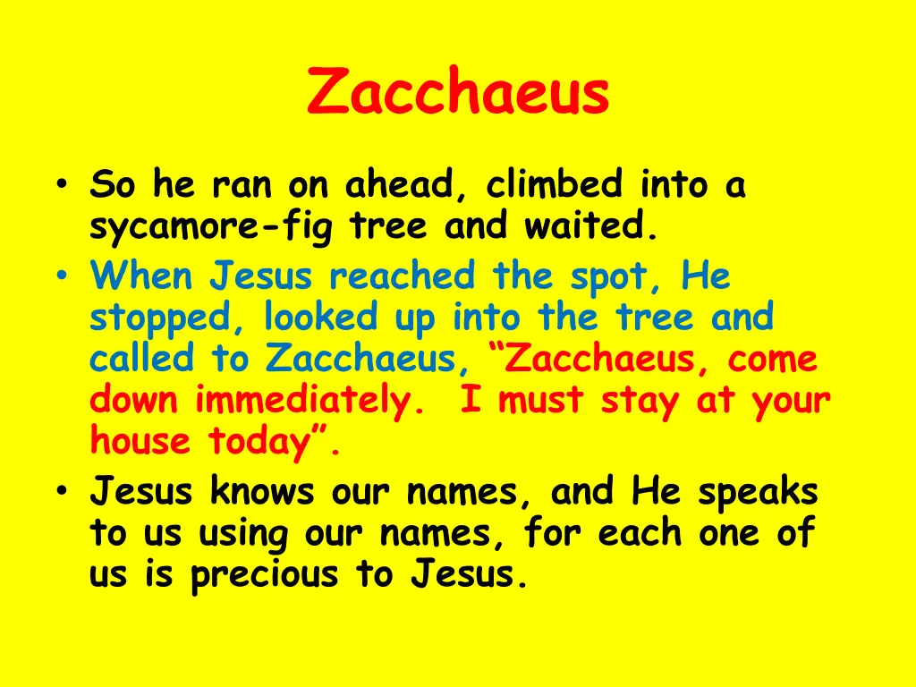 zacchaeus 2