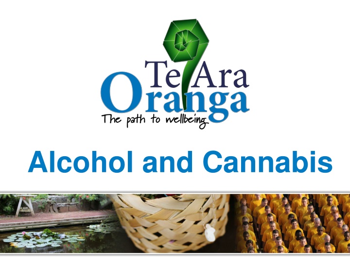 alcohol and cannabis