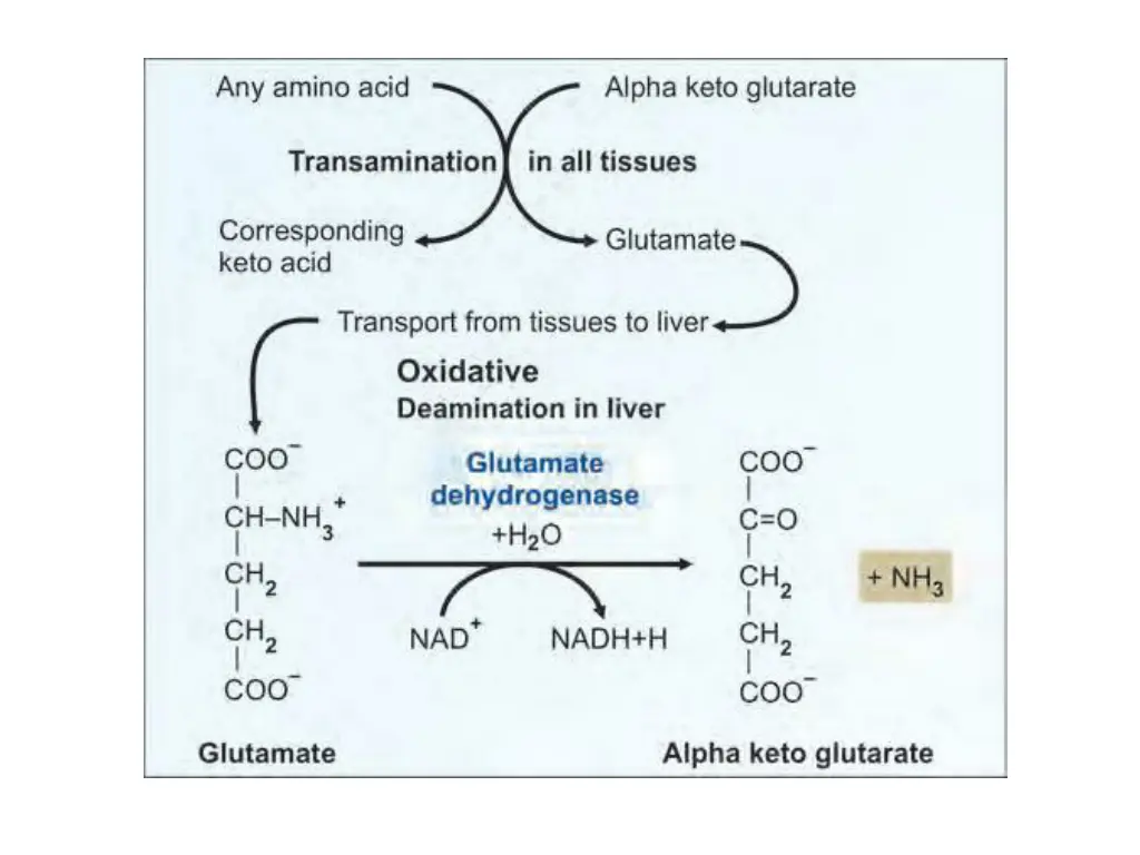 slide14