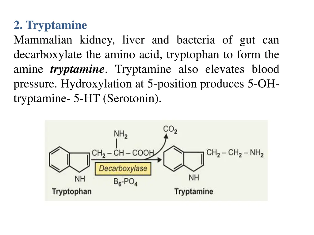 2 tryptamine mammalian kidney liver and bacteria