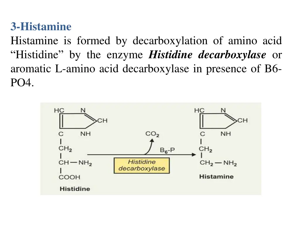 3 histamine histamine is formed