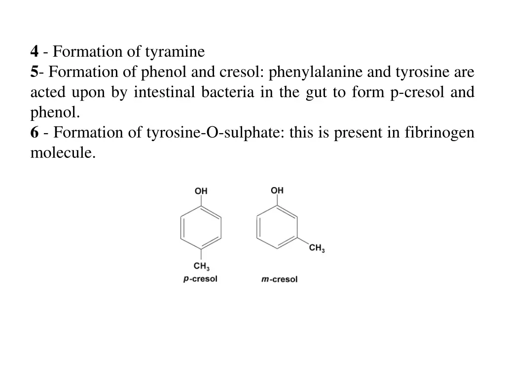 4 formation of tyramine 5 formation of phenol