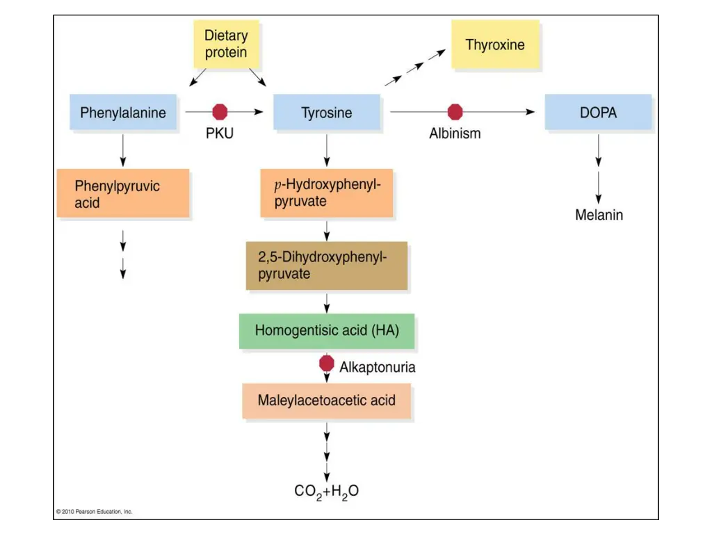 slide25