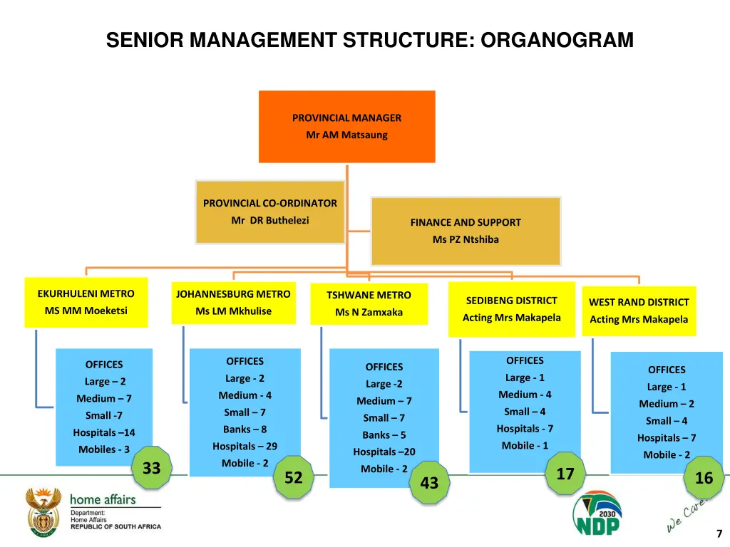 senior management structure organogram