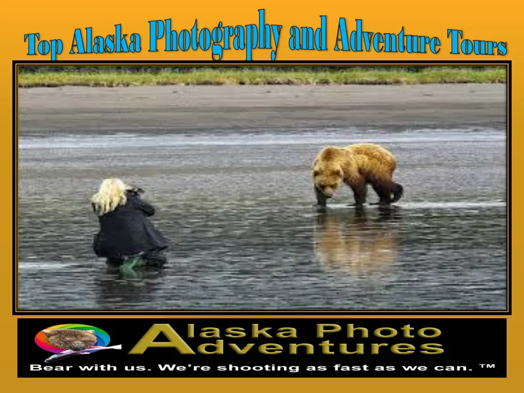 top alaska photography and adventure tours 1