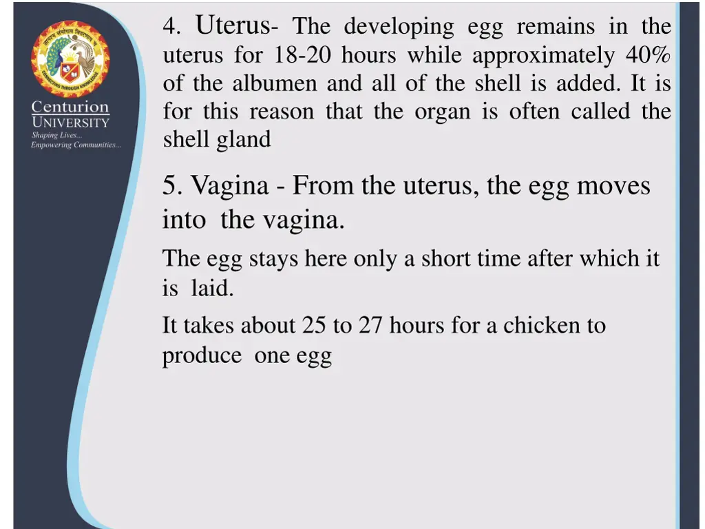 4 uterus the developing egg remains in the uterus