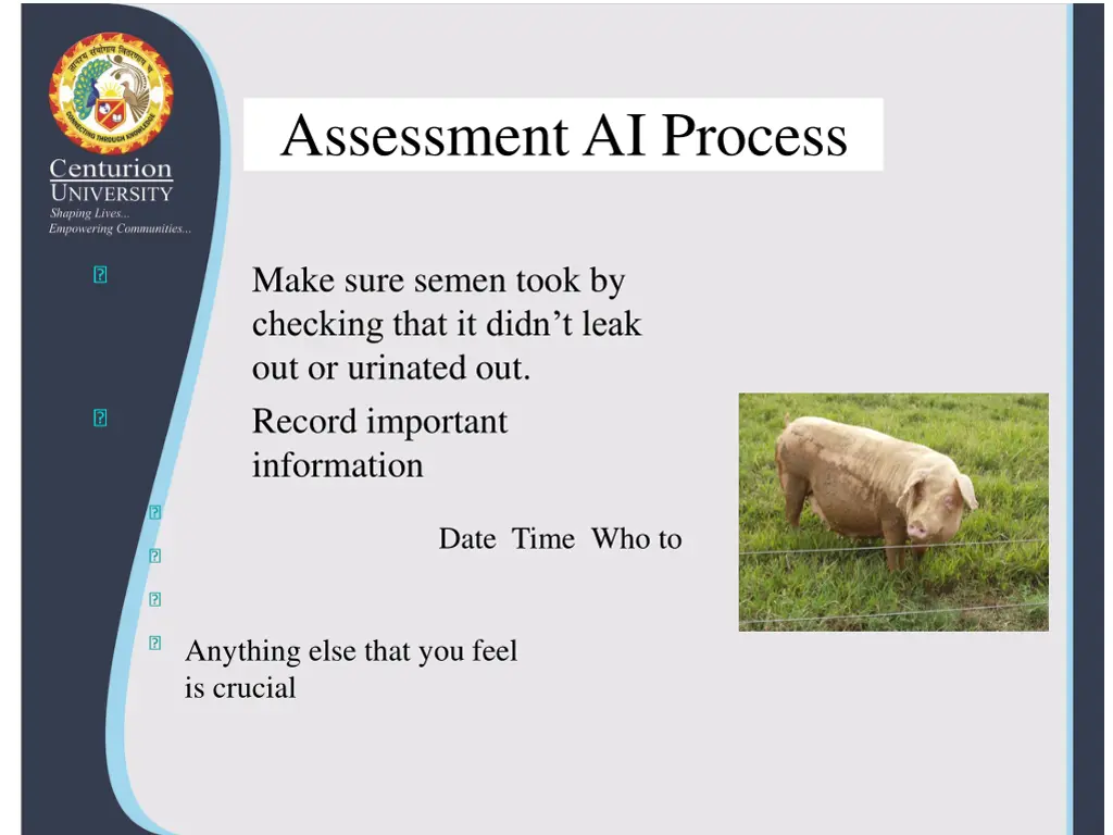 assessment ai process