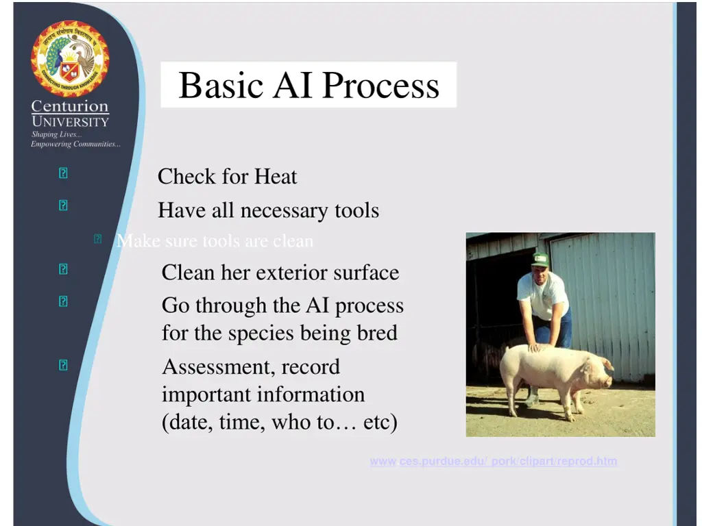 basic ai process