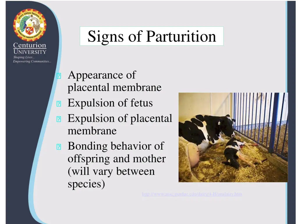 signs of parturition 1