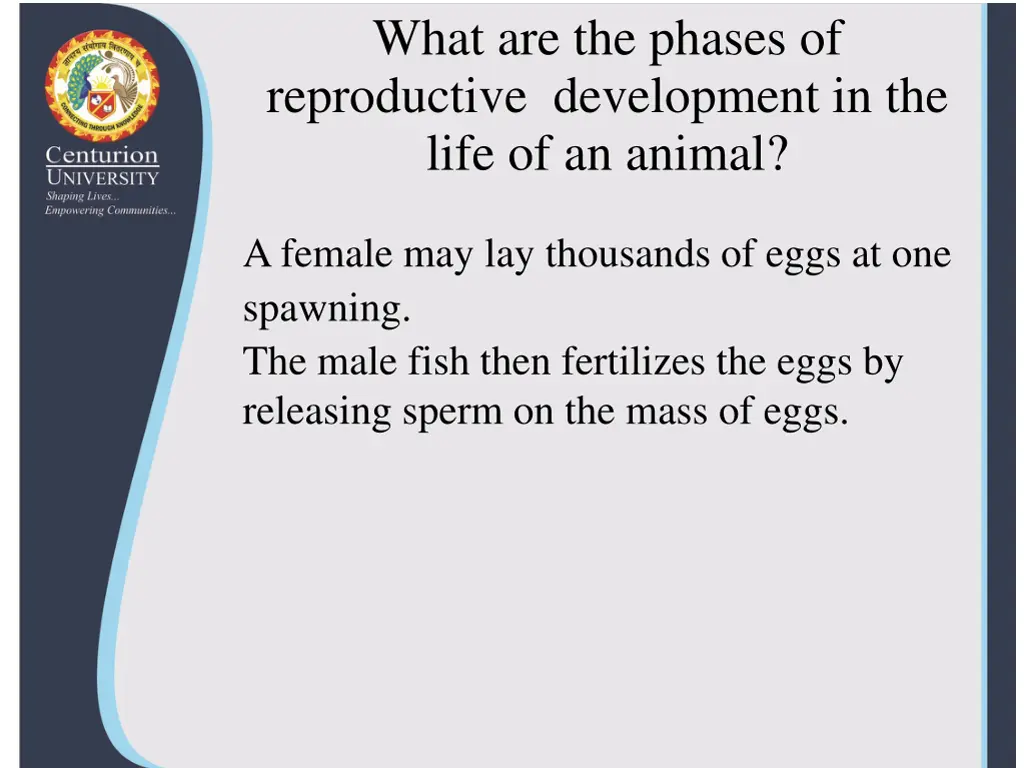 what are the phases of reproductive development 1