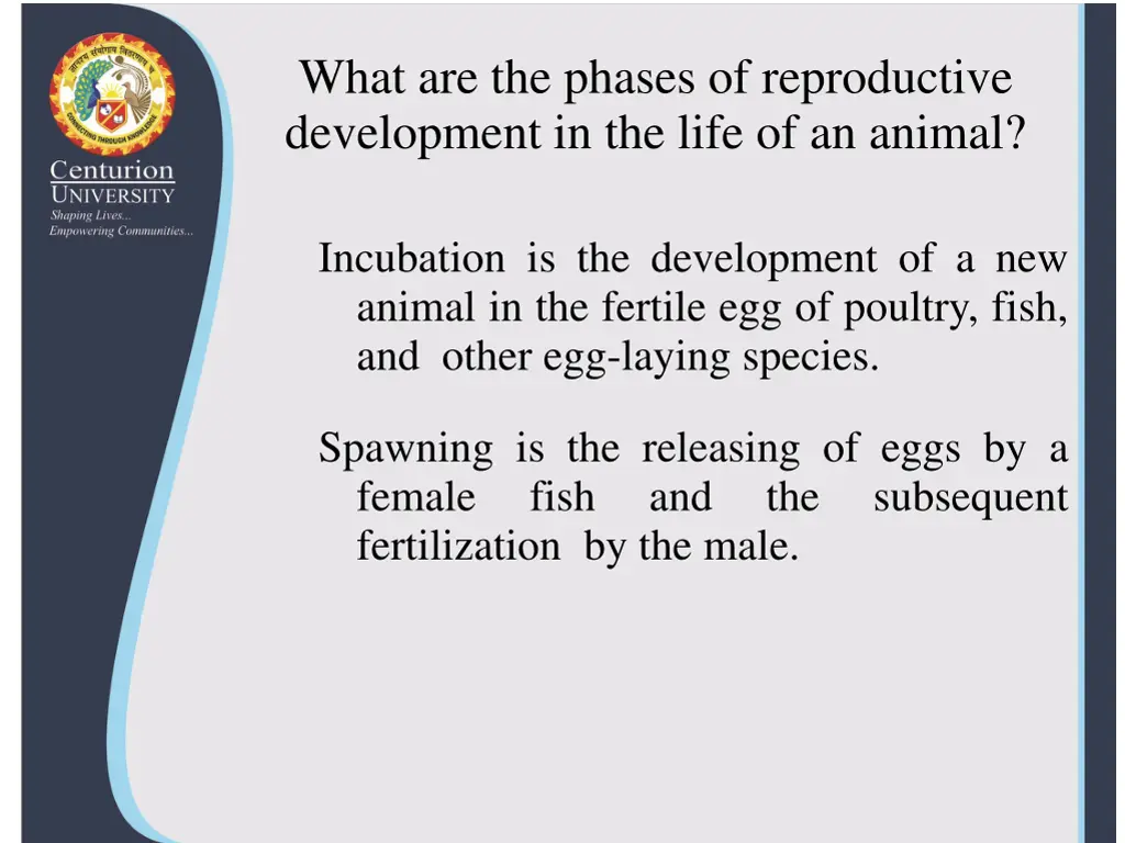 what are the phases of reproductive development