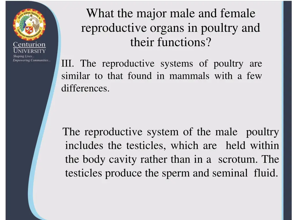 what the major male and female reproductive