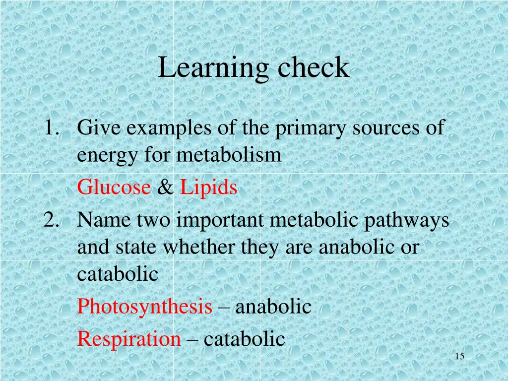 learning check 2