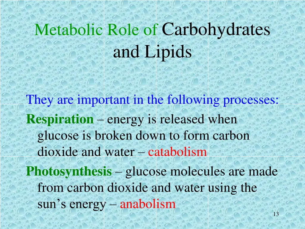 metabolic role of carbohydrates and lipids 1