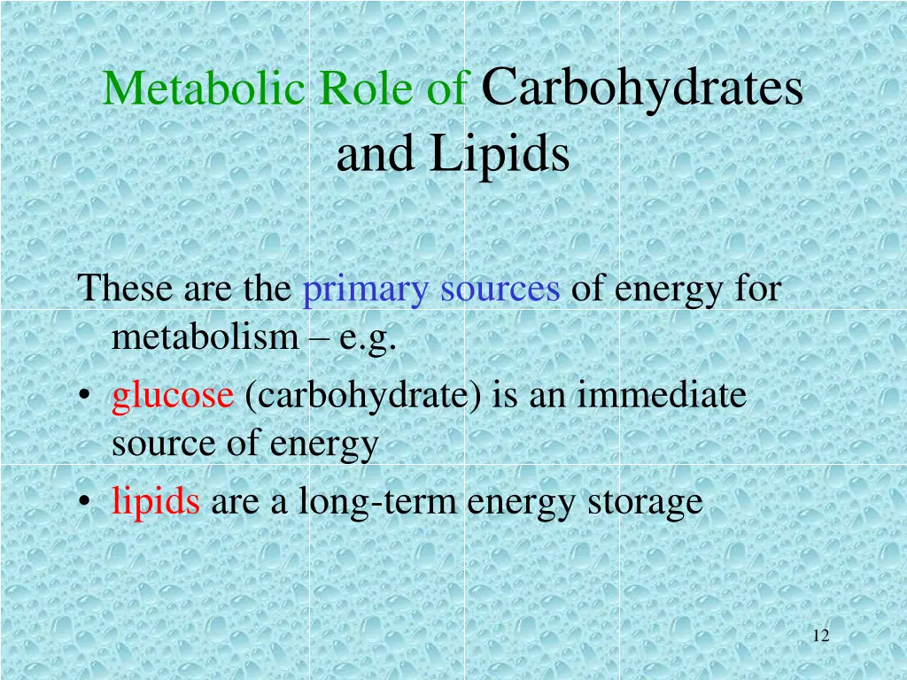 metabolic role of carbohydrates and lipids