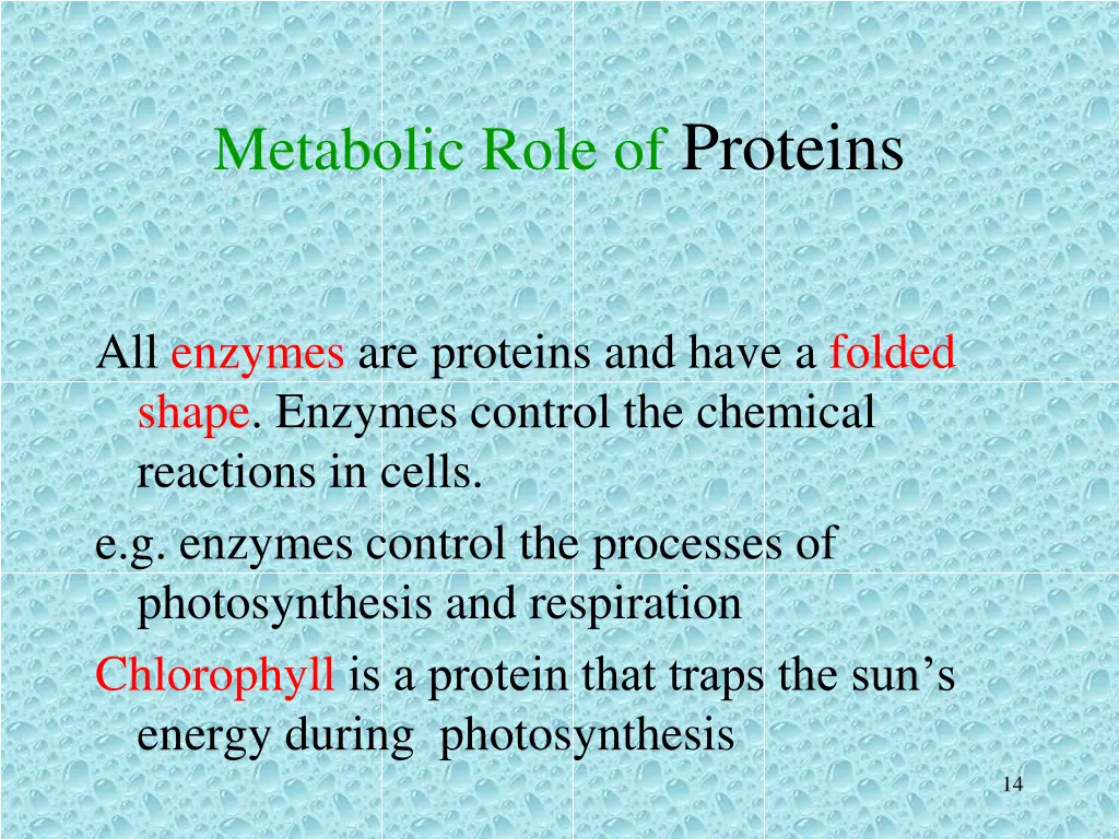 metabolic role of proteins