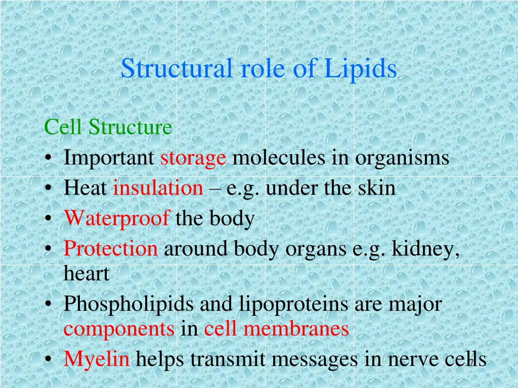 structural role of lipids