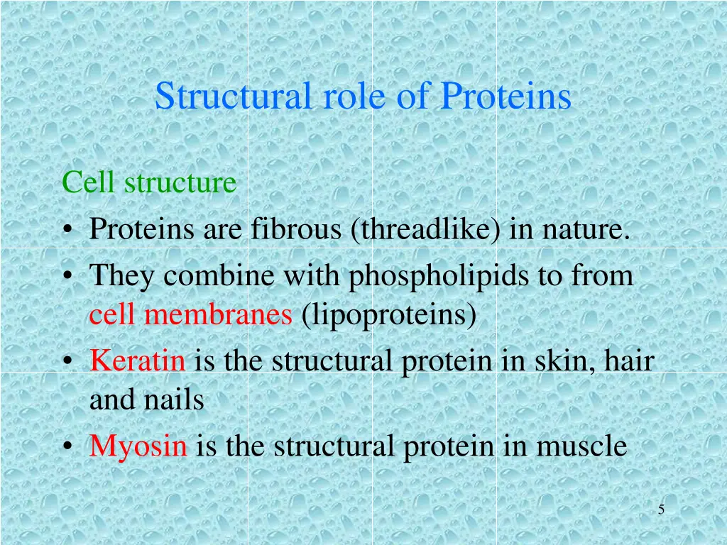 structural role of proteins