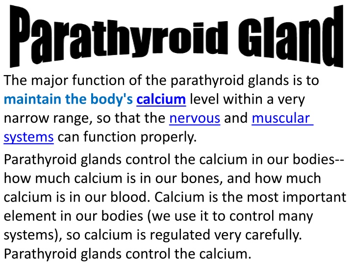 the major function of the parathyroid glands