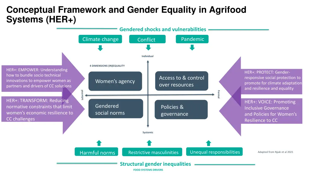 conceptual framework and gender equality