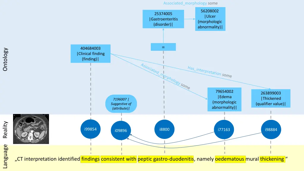 associated morphology some