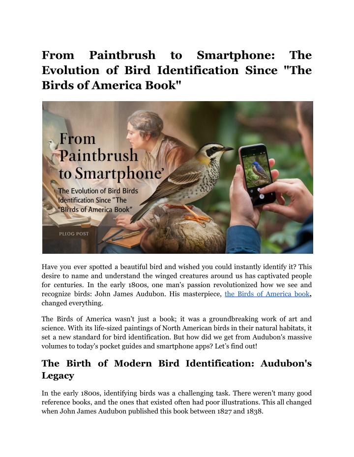 from evolution of bird identification since