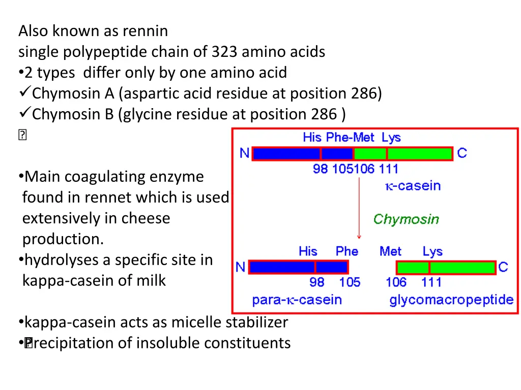 also known as rennin single polypeptide chain