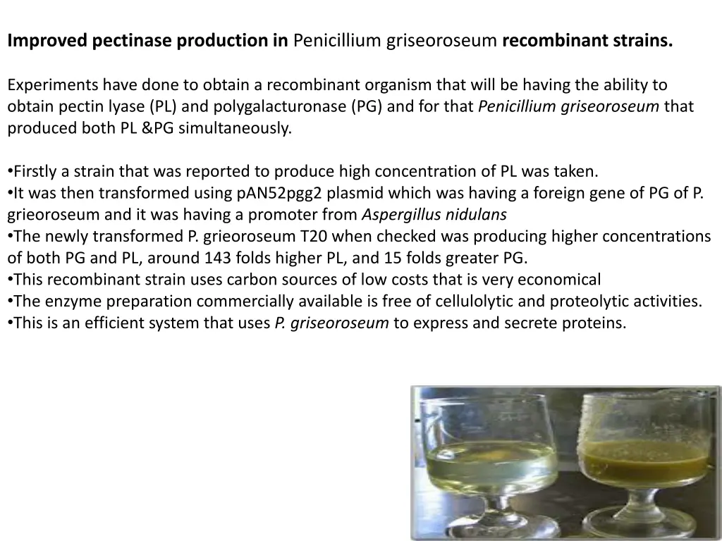 improved pectinase production in penicillium