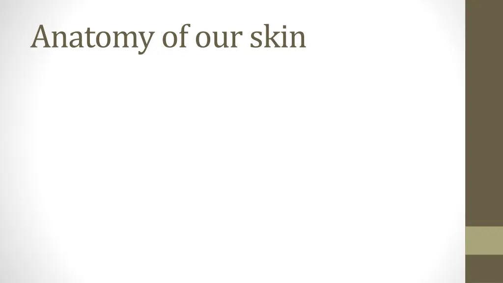 anatomy of our skin