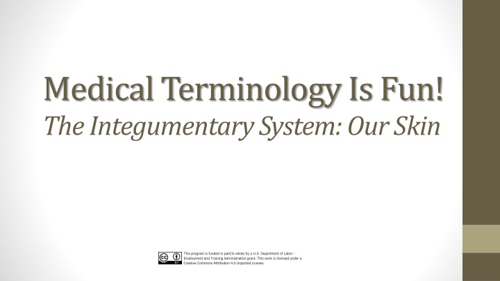 medical terminology is fun the integumentary