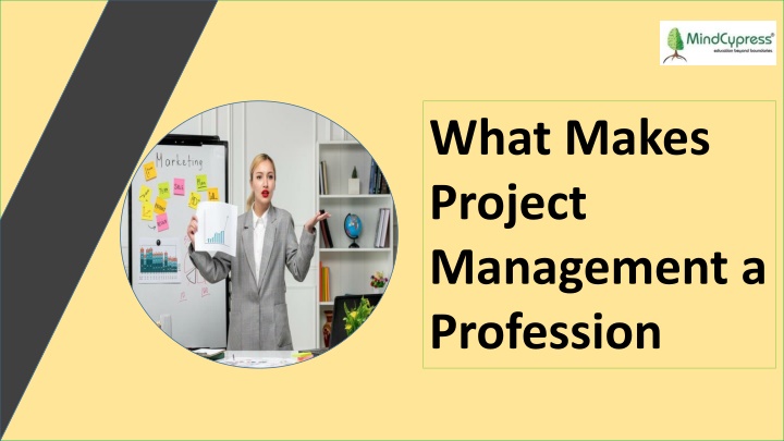 what makes project management a profession