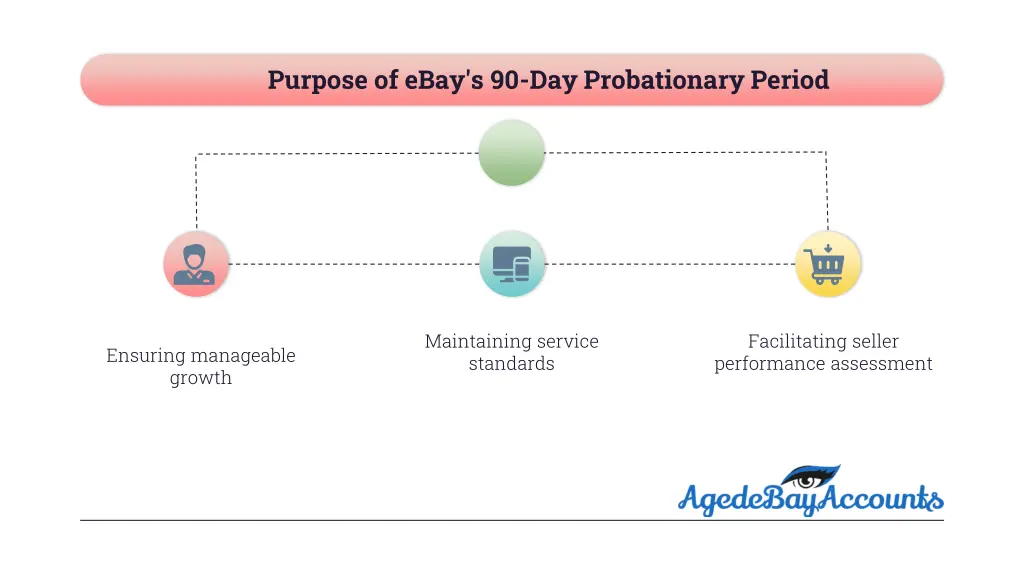 purpose of ebay s 90 day probationary period