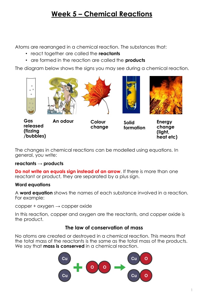 week 5 chemical reactions