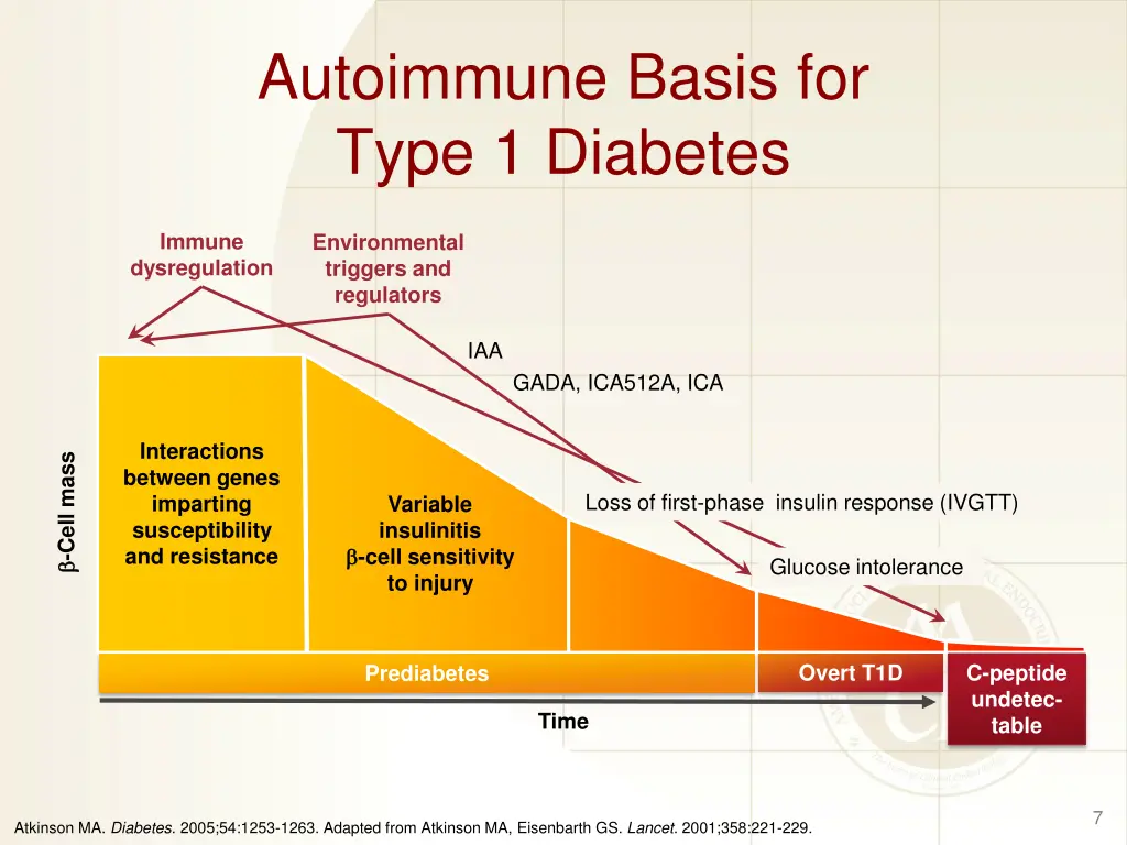 autoimmune basis for type 1 diabetes