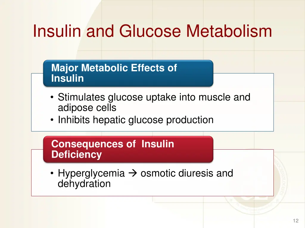 insulin and glucose metabolism